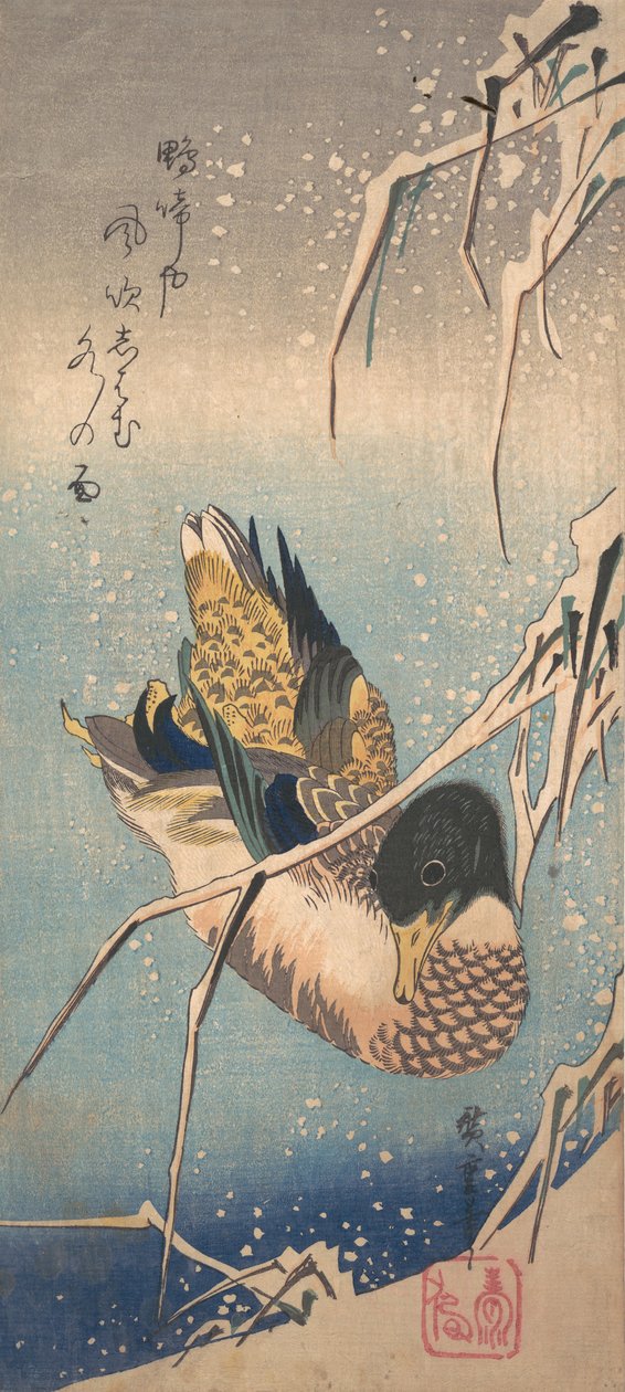 Karla Dolu Kıyıya Yakın Bir Yaban Ördeği, yak. 1843., yaklaşık 1843. by Ando Hiroshige
