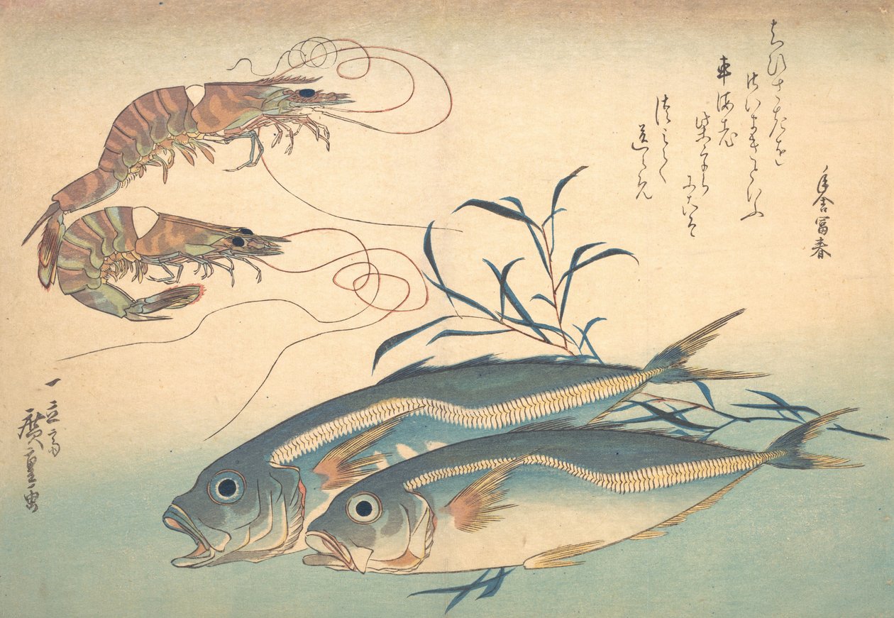 Aji Fish ve Kuruma-ebi, Uozukushi Every Variety of Fish serisinden, 1830