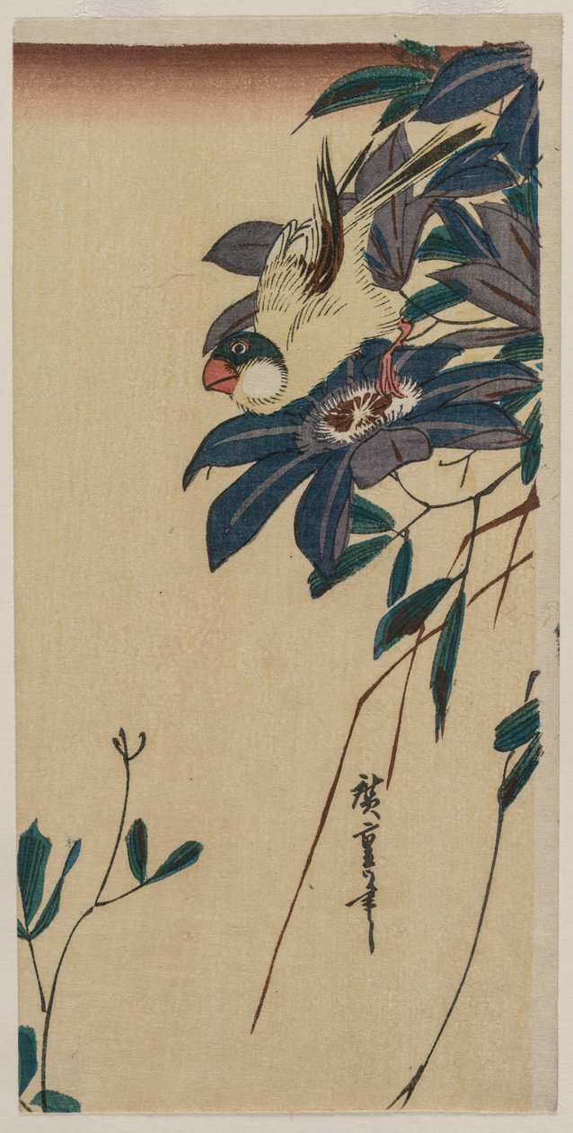 Grosbeak ve Clematis, 1830'ların ortalarında. by Ando Hiroshige