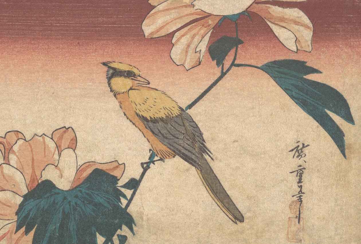 Hibiscus Mutabilis ve Jay, yak. 1840., yaklaşık 1840. by Ando Hiroshige
