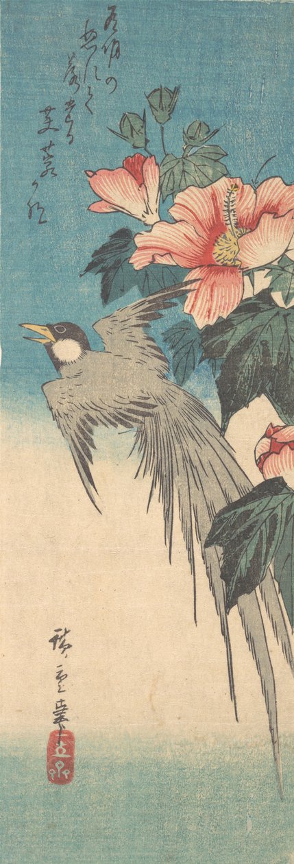 Hibiscus Mutabilis ve Uzun Kuyruklu Kuş, yak. 1842., yaklaşık 1842. by Ando Hiroshige