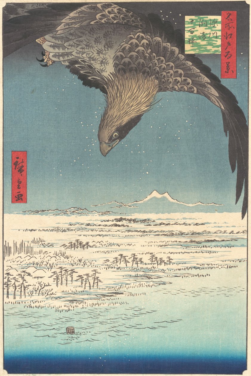 Edo Me