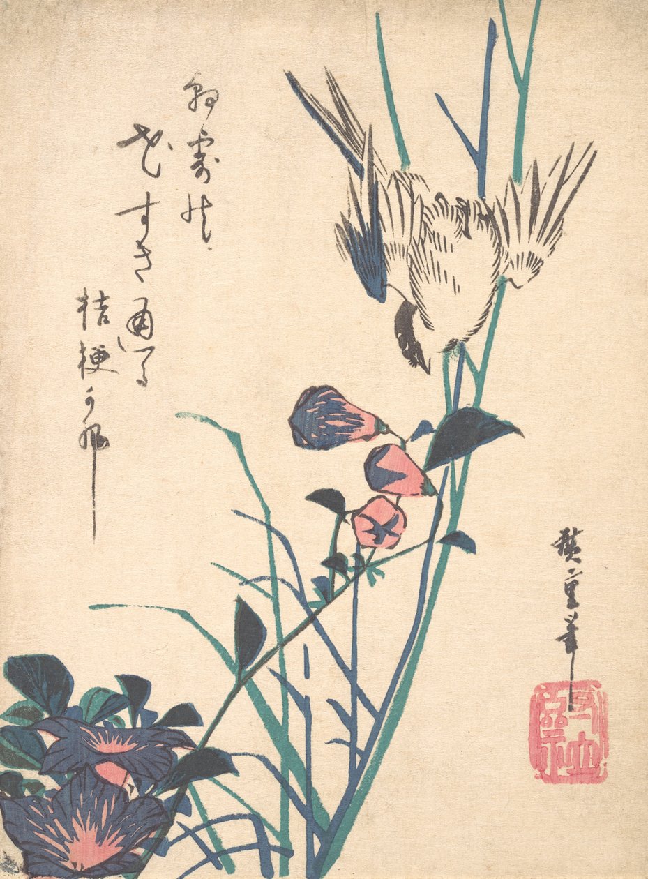 Büyük çiçekli Flat Bill ve Sparrow, ca. 1833., yaklaşık 1833. by Ando Hiroshige