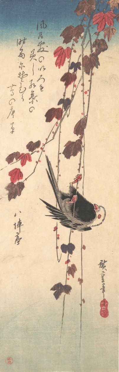 Sonbahar Ivy
