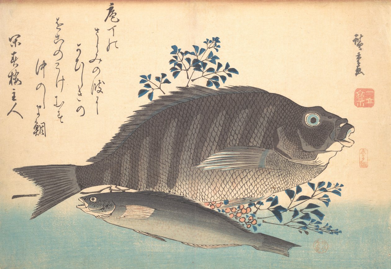 Shimadai ve Ainame Fish, Uozukshi Her Çeşit Balık serisinden, 1840