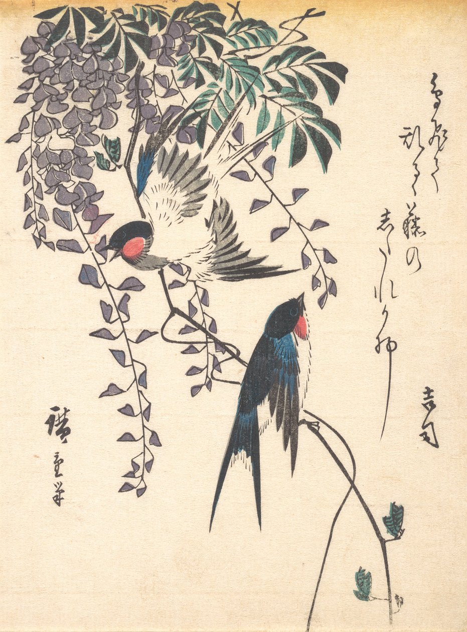 Kırlangıç ve Wisteria, 1840