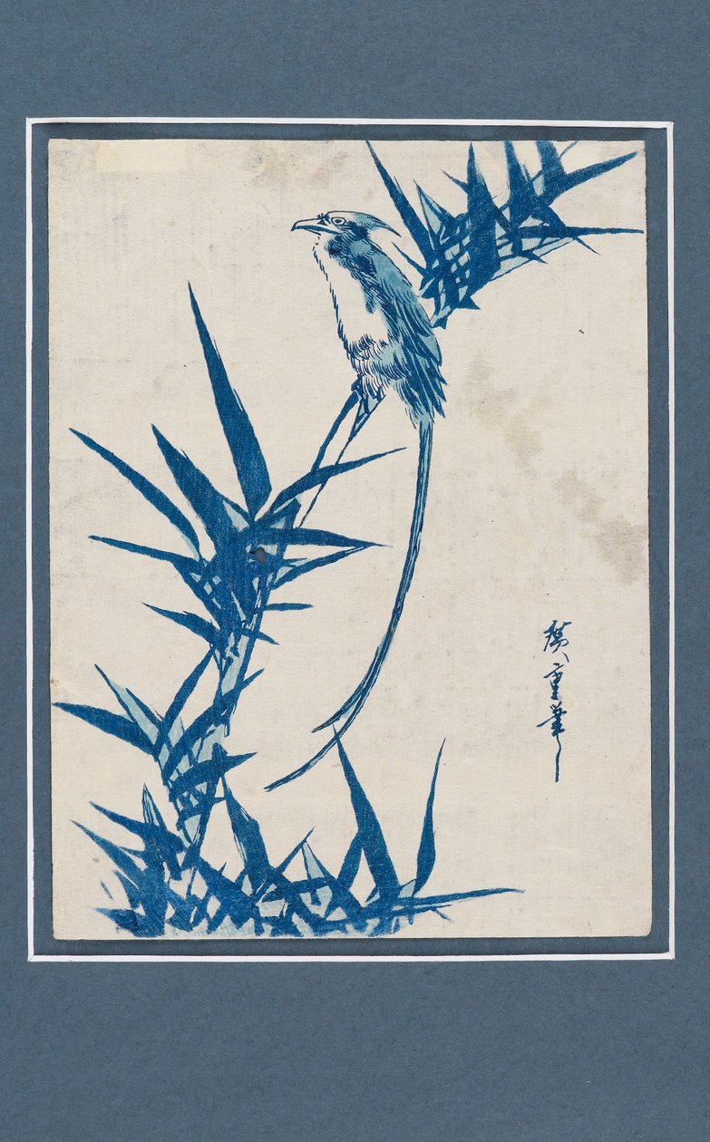 Ukiyo-e baskı - Daldaki mavi kuş, c1820-1858 by Ando Hiroshige