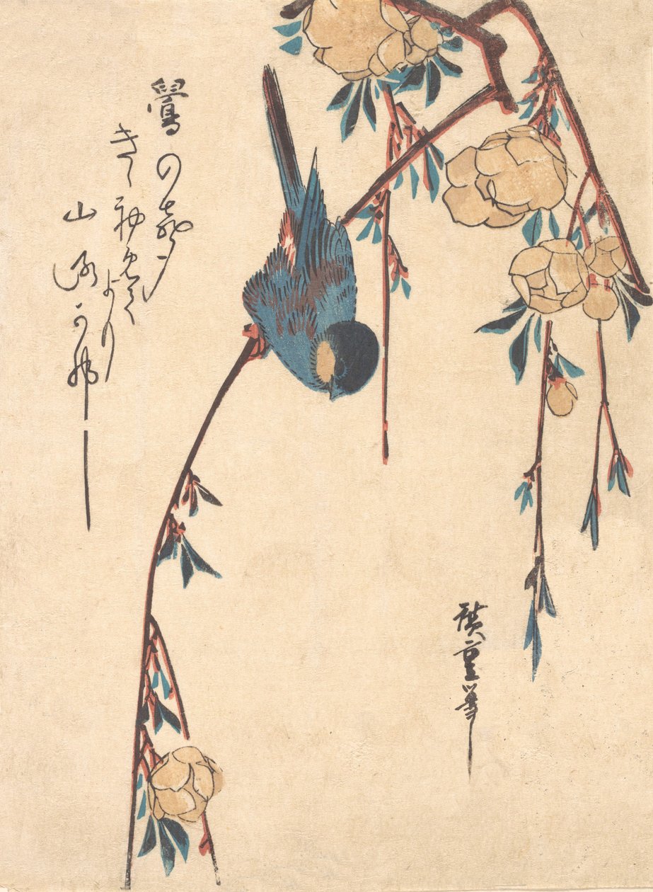 ağlayan kiraz by Ando Hiroshige