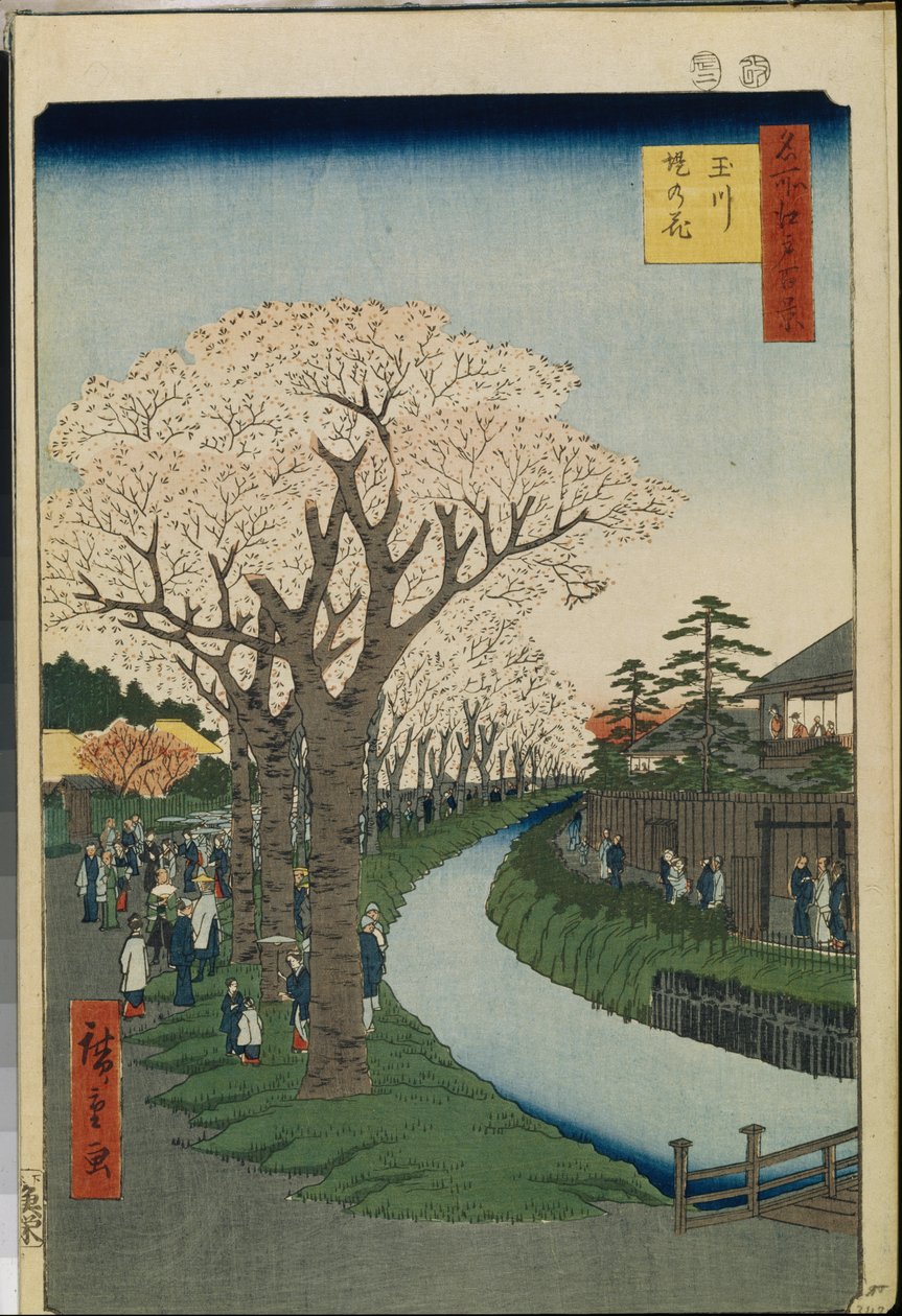 Cent vues ünlüler d"Edo: Tama Nehri Kıyısında Kiraz Çiçekleri by Ando or Utagawa Hiroshige