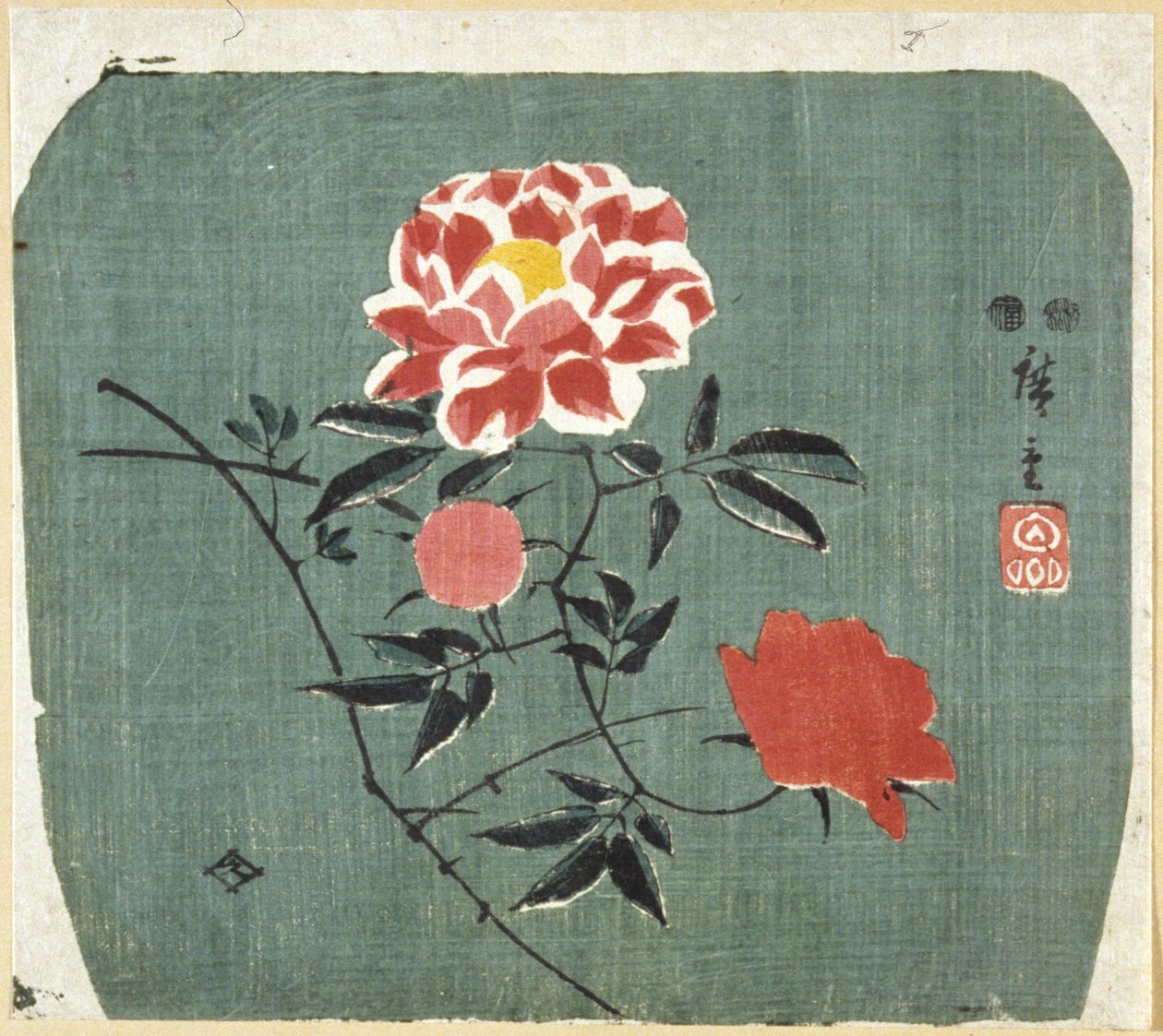 Hayran Baskısı: Gül by Ando or Utagawa Hiroshige