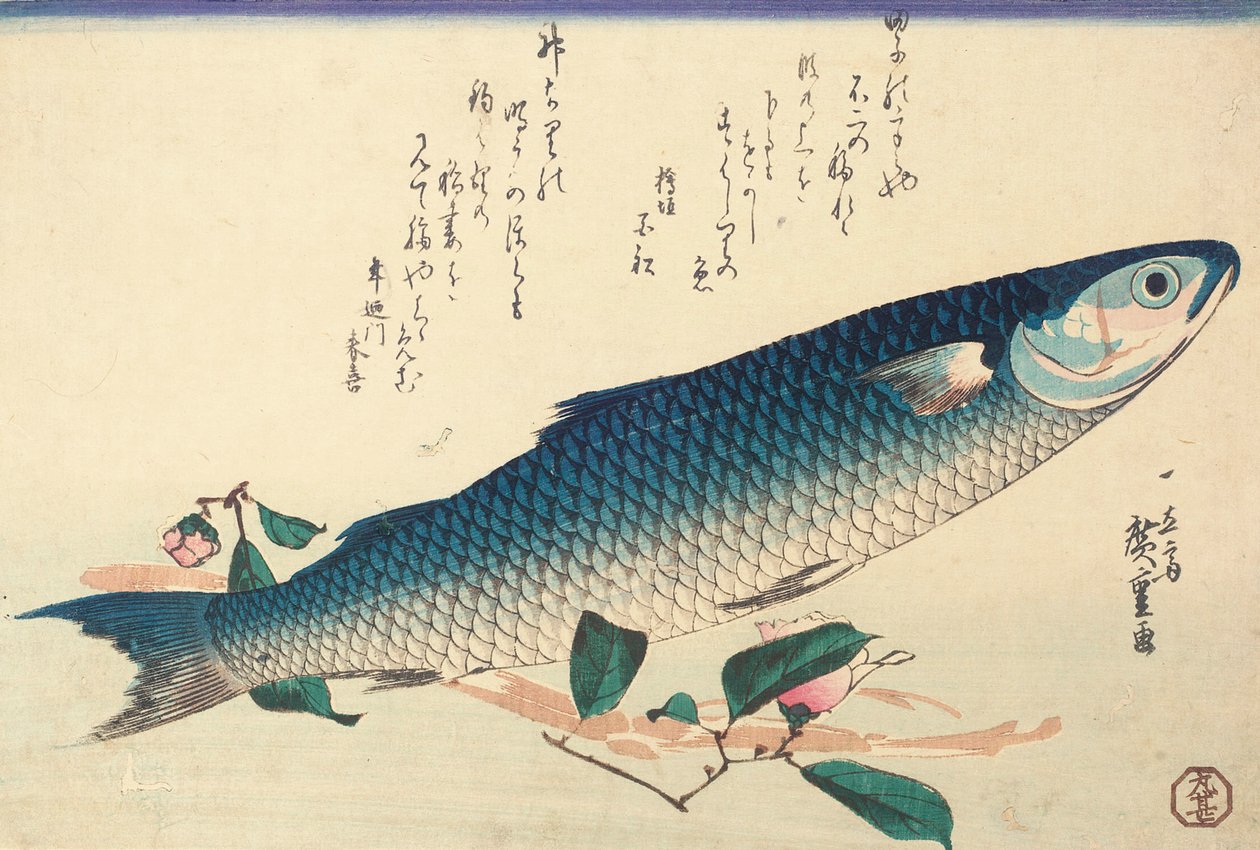 Kefal, Kamelya ve Udo by Ando or Utagawa Hiroshige