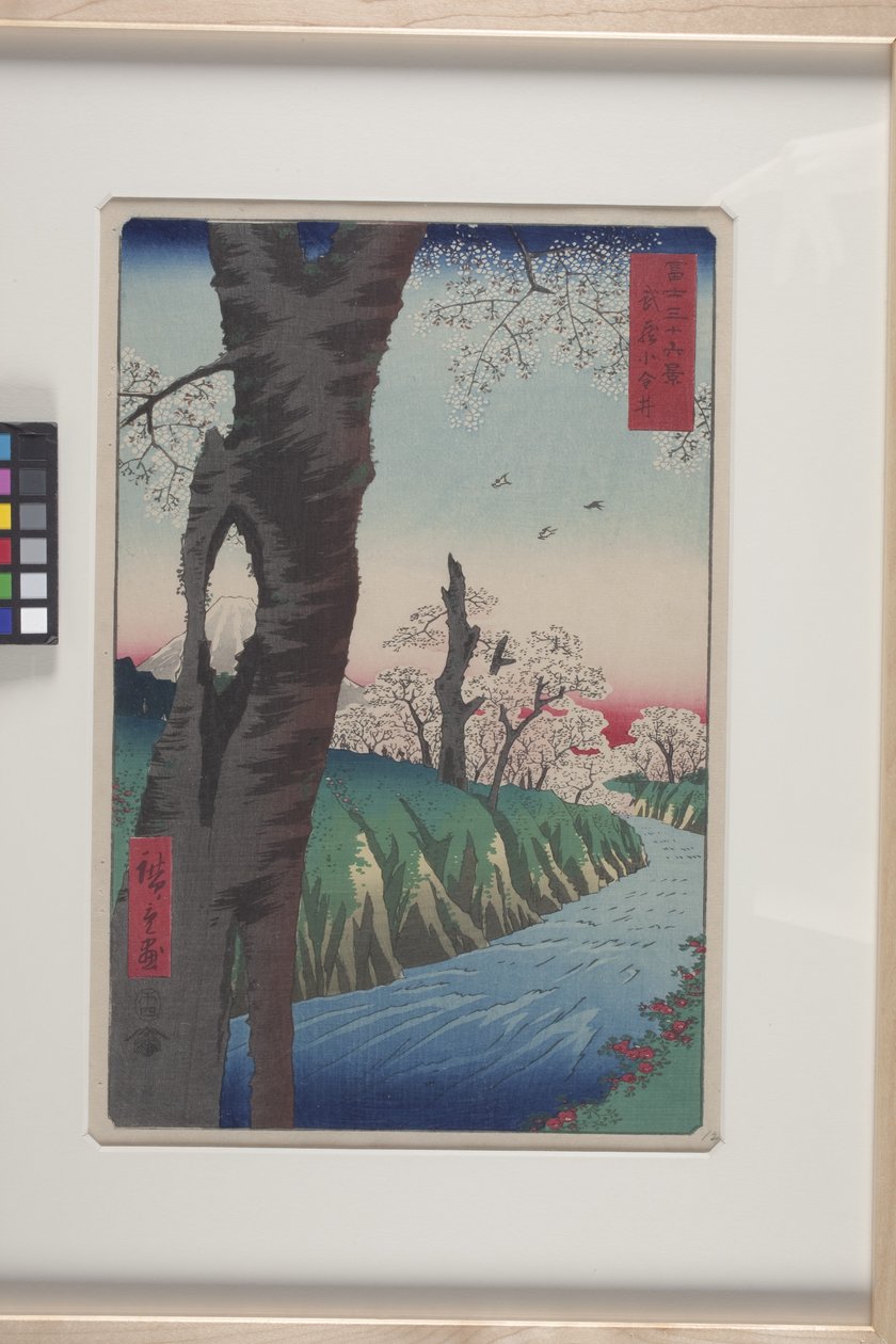 Musashi Eyaletinde Koganei (Musashi Koganei) (renkli tahta baskı) by Ando or Utagawa Hiroshige