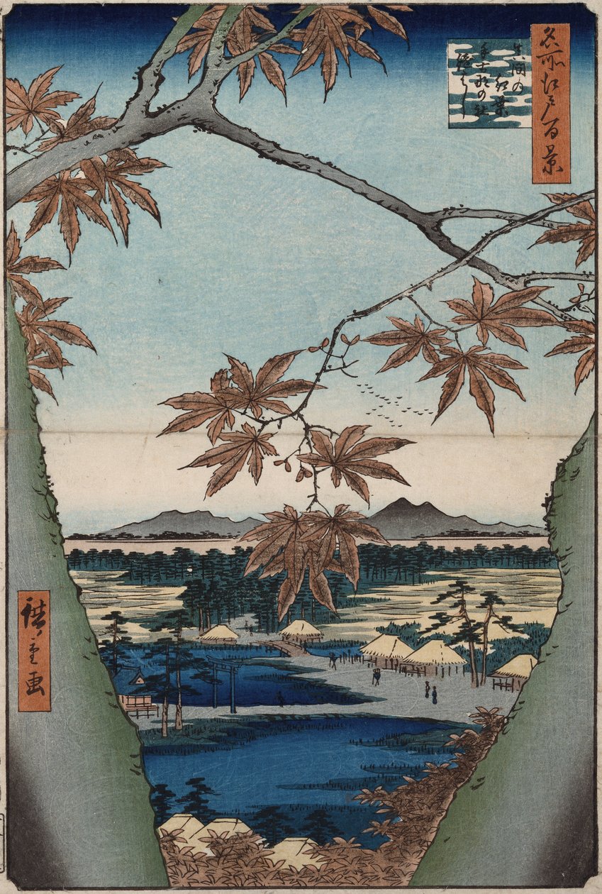 "Edo