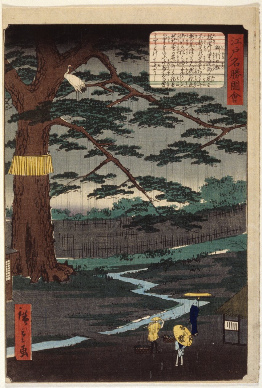 Miyuki Pine (renkli tahta baskı) by Ando or Utagawa Hiroshige