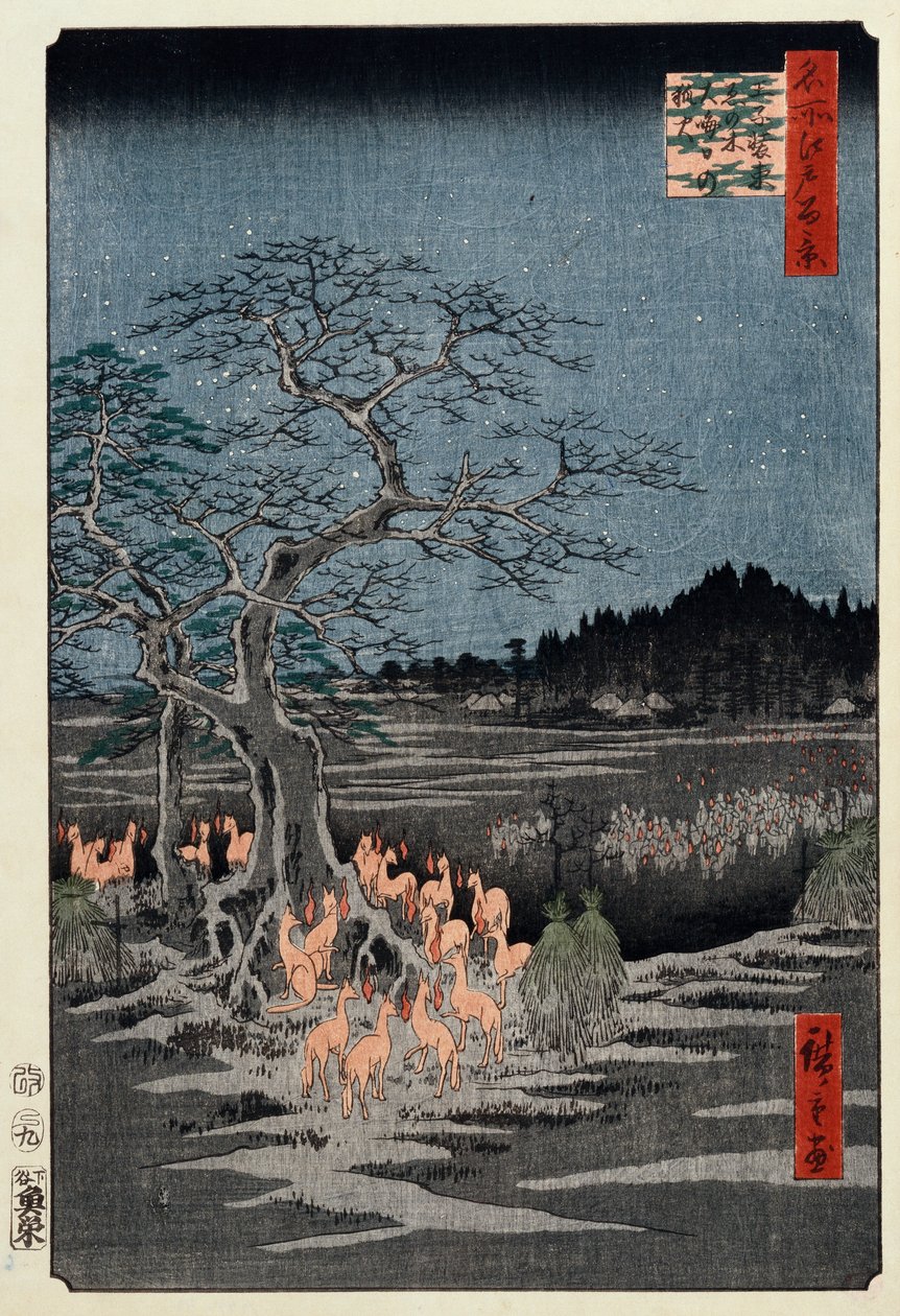 "Edo