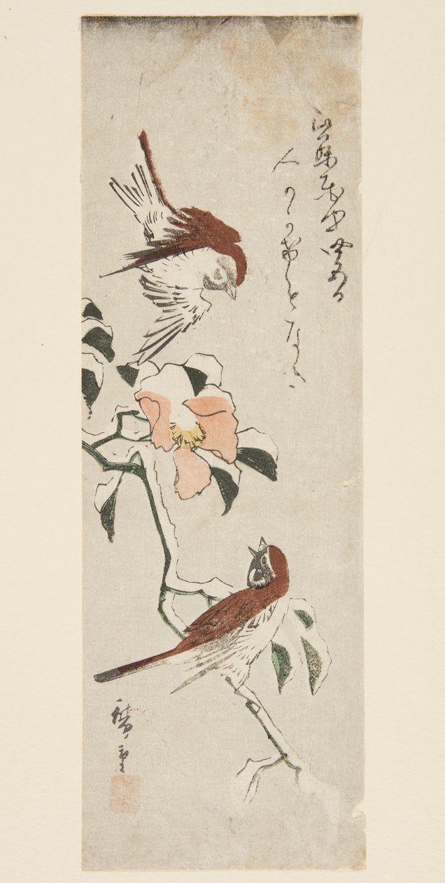 Karda Serçeler ve Kamelya (renkli tahta baskı) by Ando or Utagawa Hiroshige