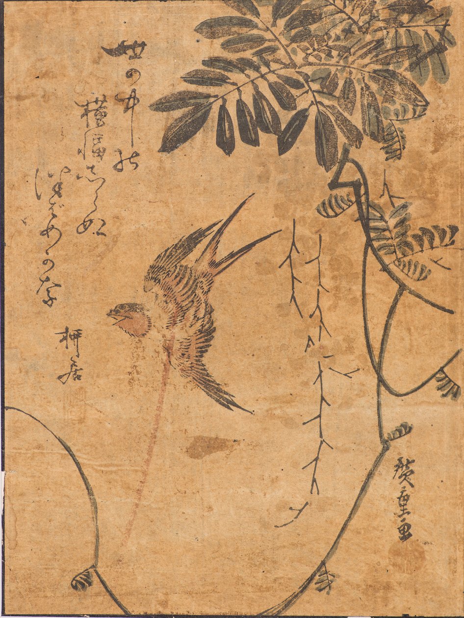 Kuşun uçuş ve bitki çalışması by Ando or Utagawa Hiroshige