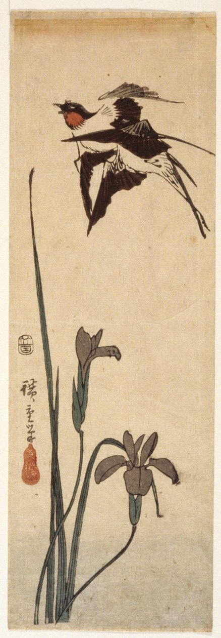 Kırlangıçlar ve İris (renkli tahta baskı) by Ando or Utagawa Hiroshige