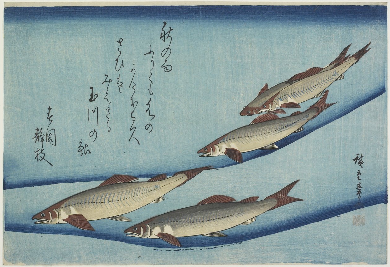 Alabalık by Ando or Utagawa Hiroshige