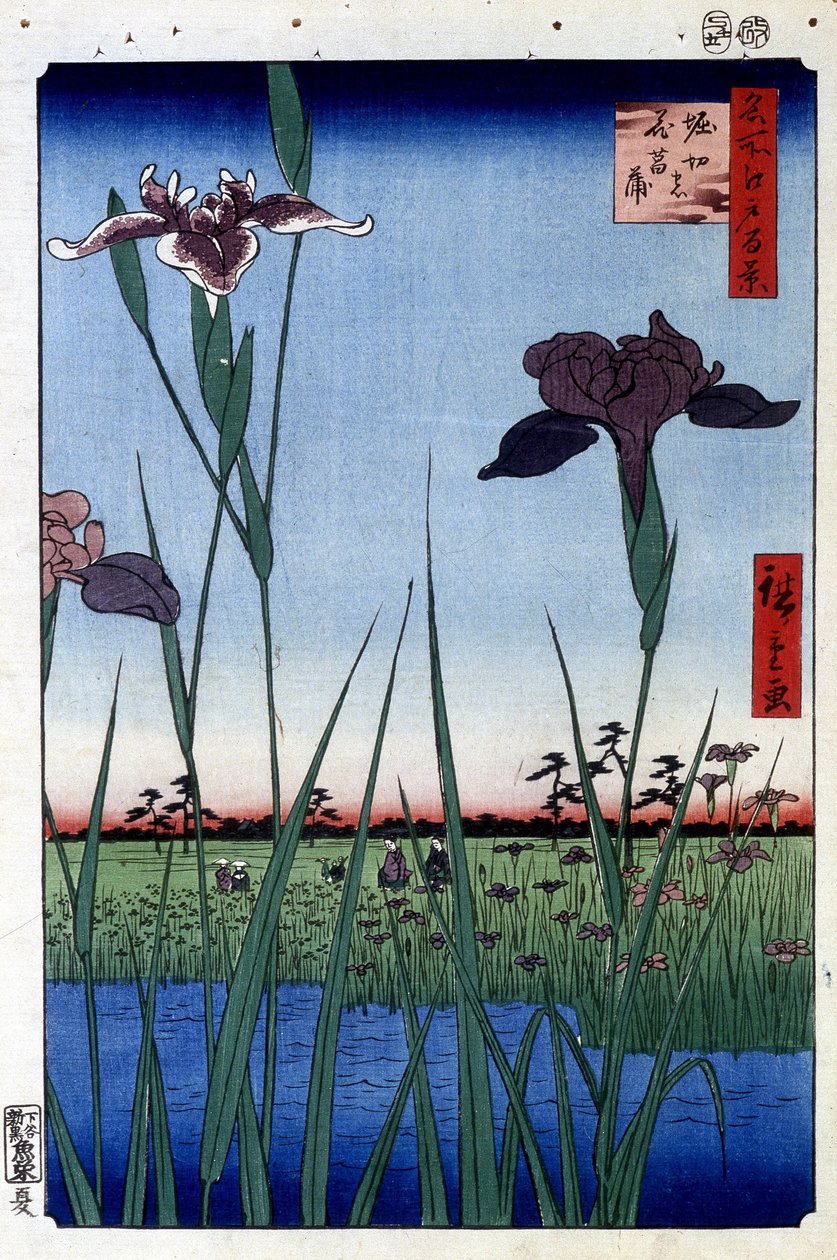 Su İris - Utagawa Hiroshige tarafından Japon baskısı. Edo