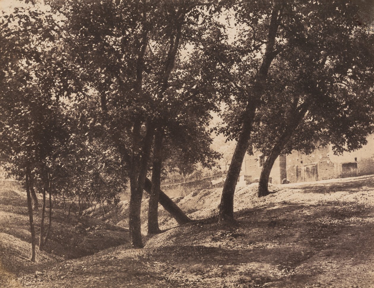 Ağaçlar, ç. 1855. by André Giroux