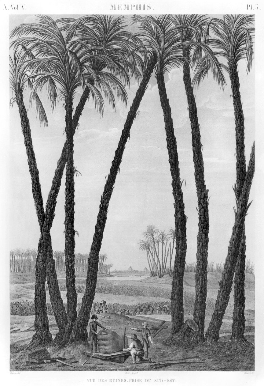 Jean Louis Delignon (1755-1804) tarafından oyulmuş, güney doğudan görülen Memphis kalıntılarının görünümü by Andre Dutertre