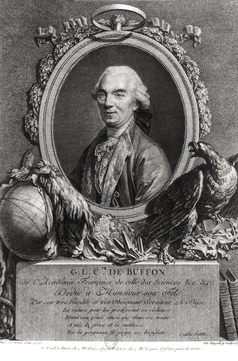 Georges-Louis Leclerc (1707-88) Buffon Kontu, Vincenzio Vangelisti (1738-98) 1777 tarafından oyulmuş by Andre Pujos