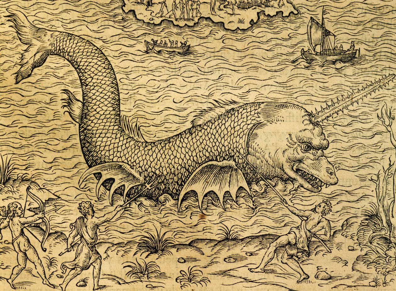 Deniz canavarı, Universal Cosmology