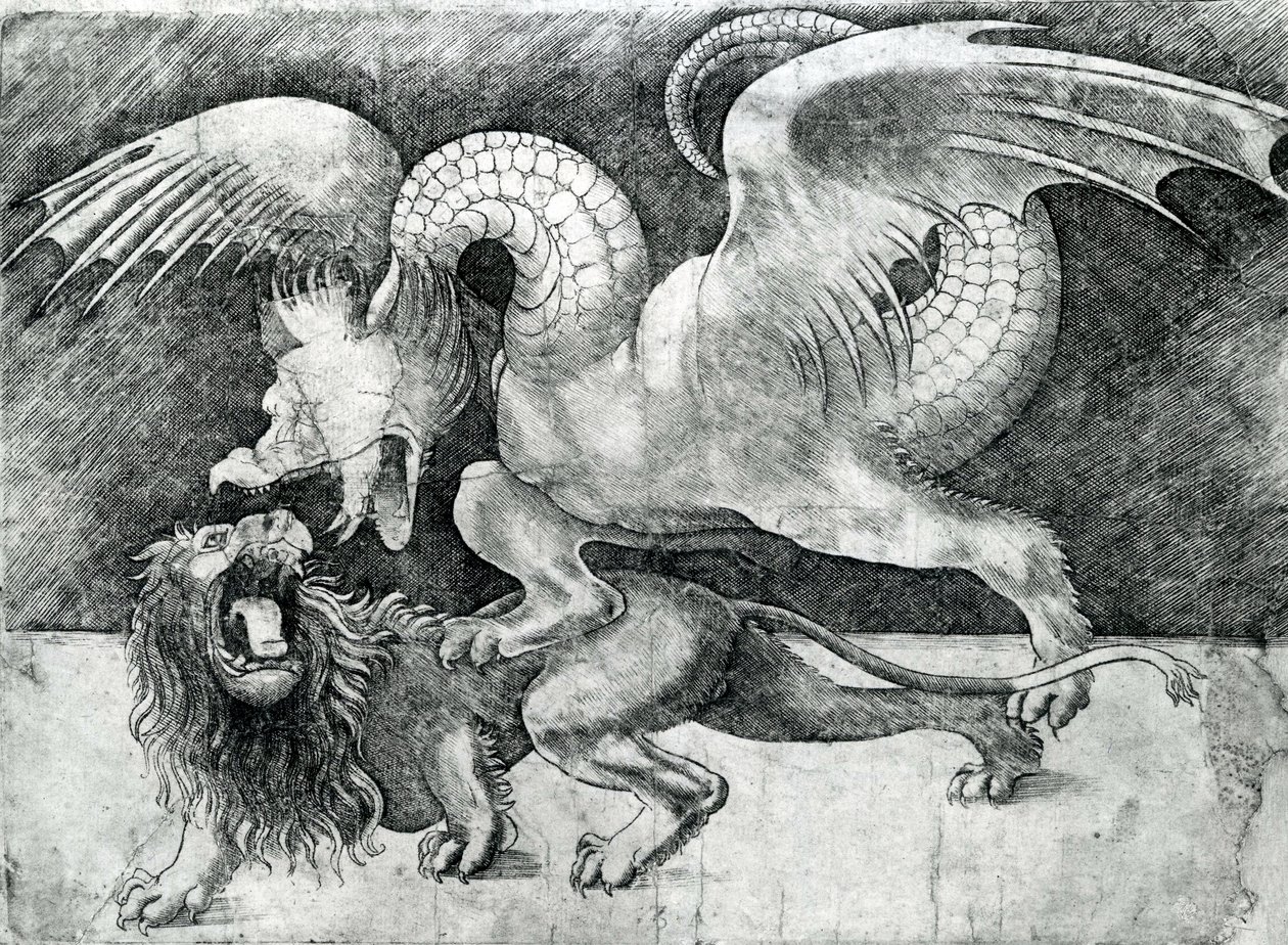 Aslanla Dövüşen Ejderha by Andrea Zoan