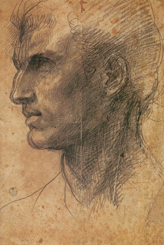 Profilde Sola Bakmış Bir Adamın Başı by Andrea del Sarto