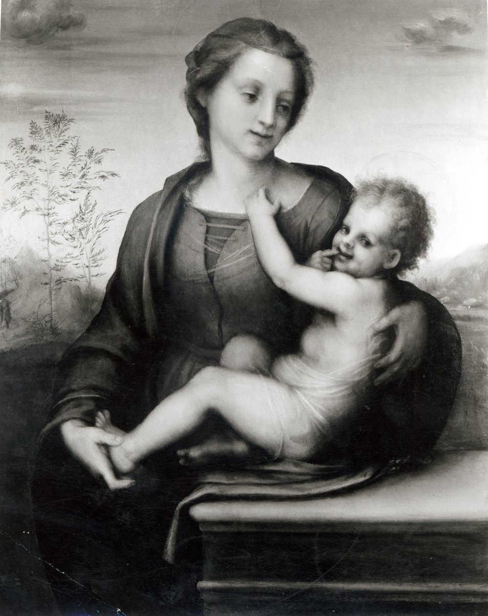 Madonna ve Çocuk (panel) by Andrea del Sarto