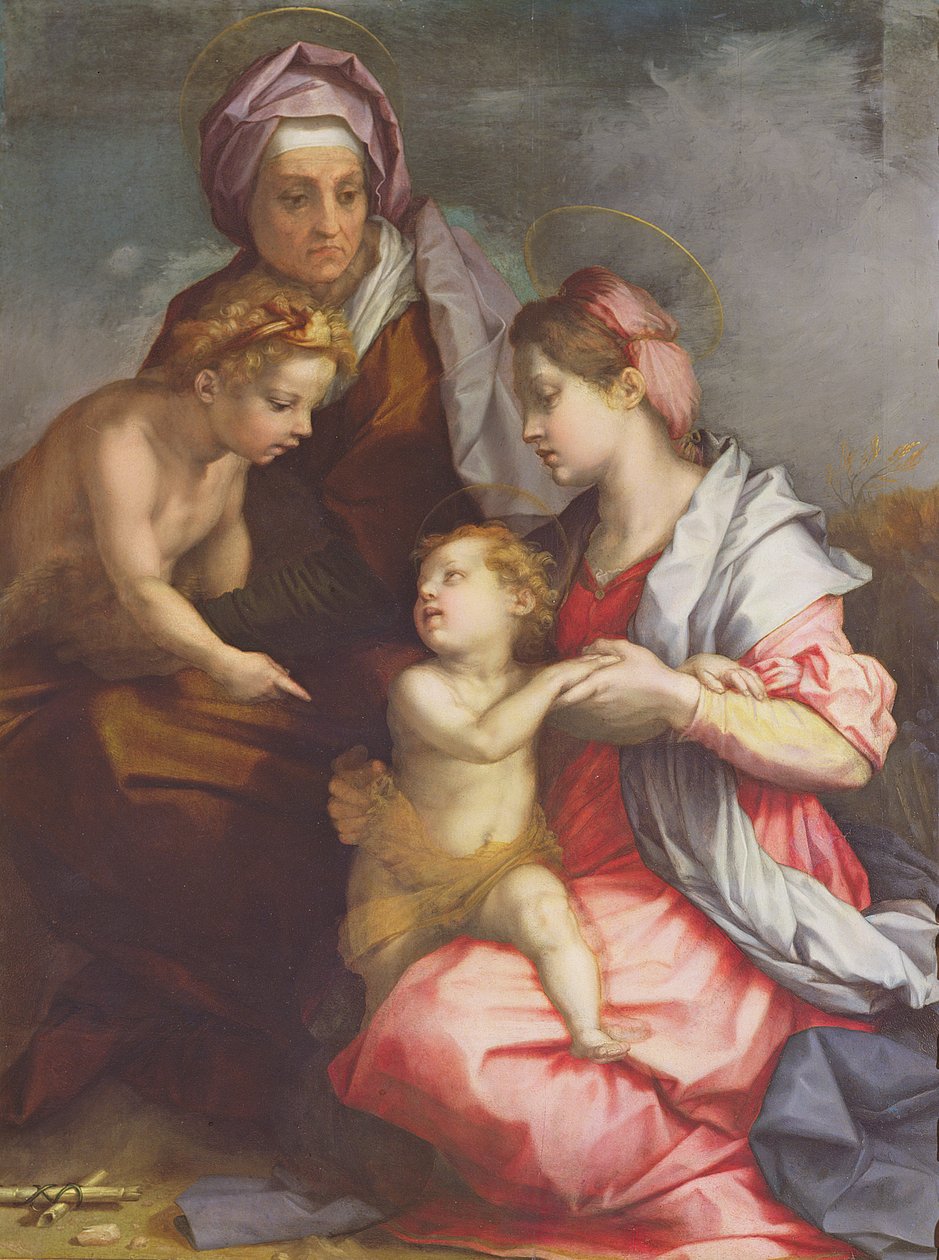 Madonna ve St. Elizabeth ve Bebek Vaftizci Yahya ile Çocuk (panel) by Andrea del Sarto
