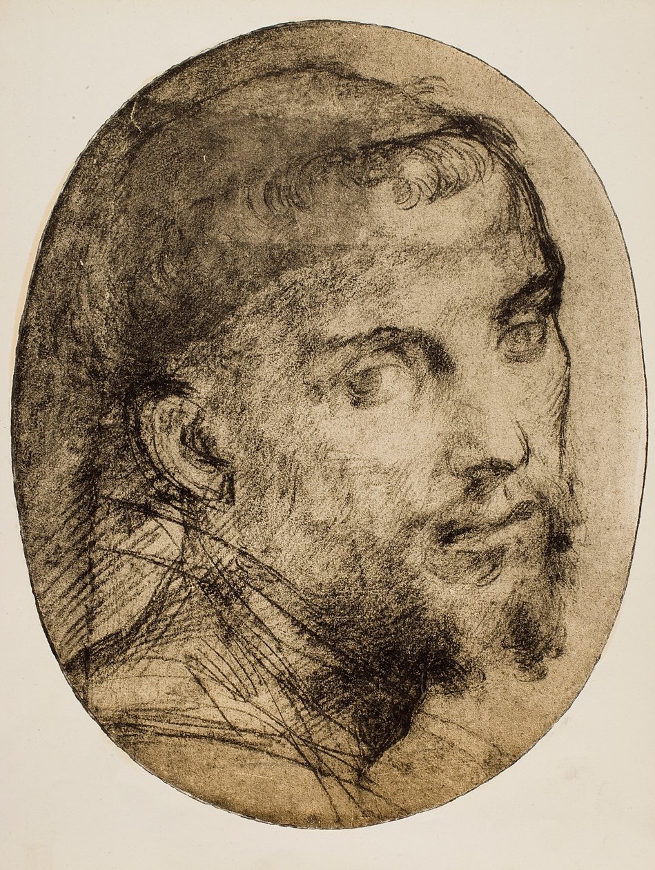 Dini bir portre için çalışma by Andrea del Sarto