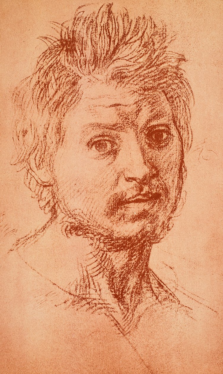 erkeksi kafa by Andrea del Sarto