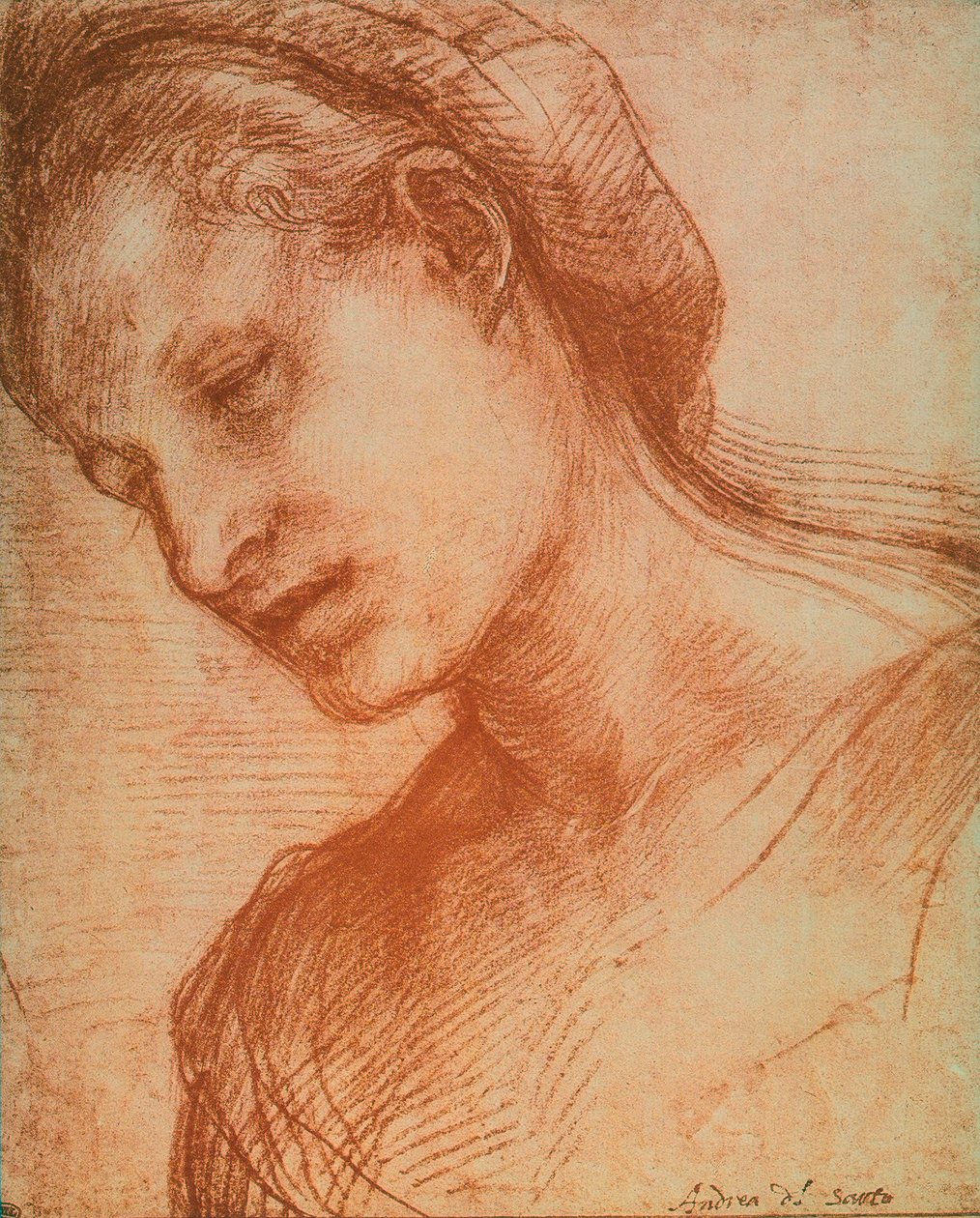 kadının kafası by Andrea del Sarto