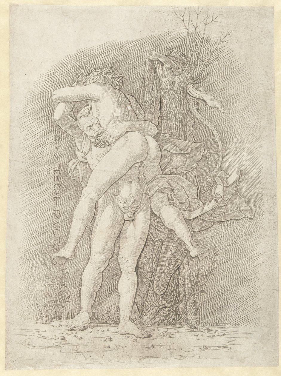 Herkül ve Antaeus Herkül yenilmez (nesne üzerindeki başlık) by Andrea Mantegna (school of)