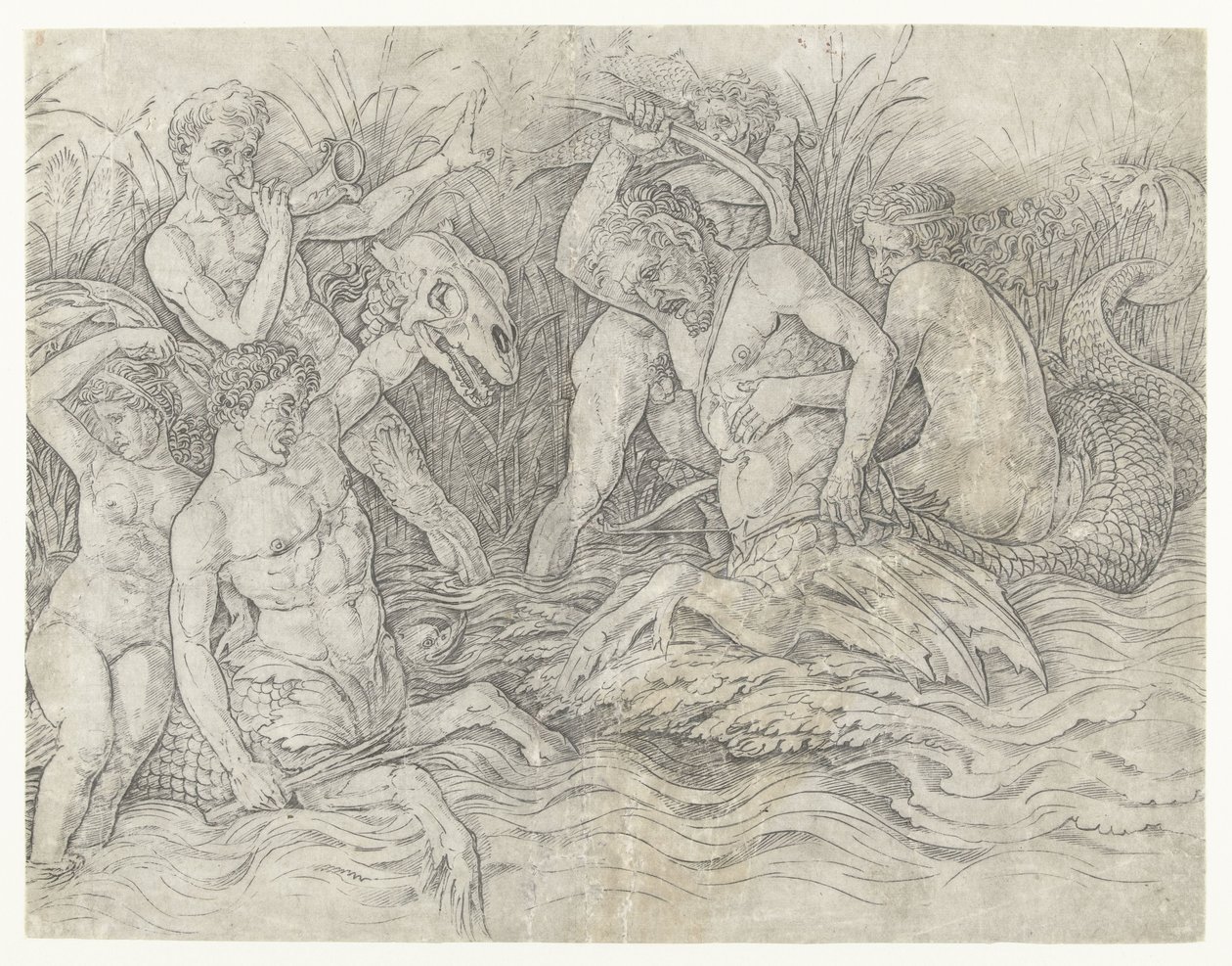Sırtlarında Nereidlerle Tritonların Savaşı Deniz Tanrılarının Savaşı by Andrea Mantegna