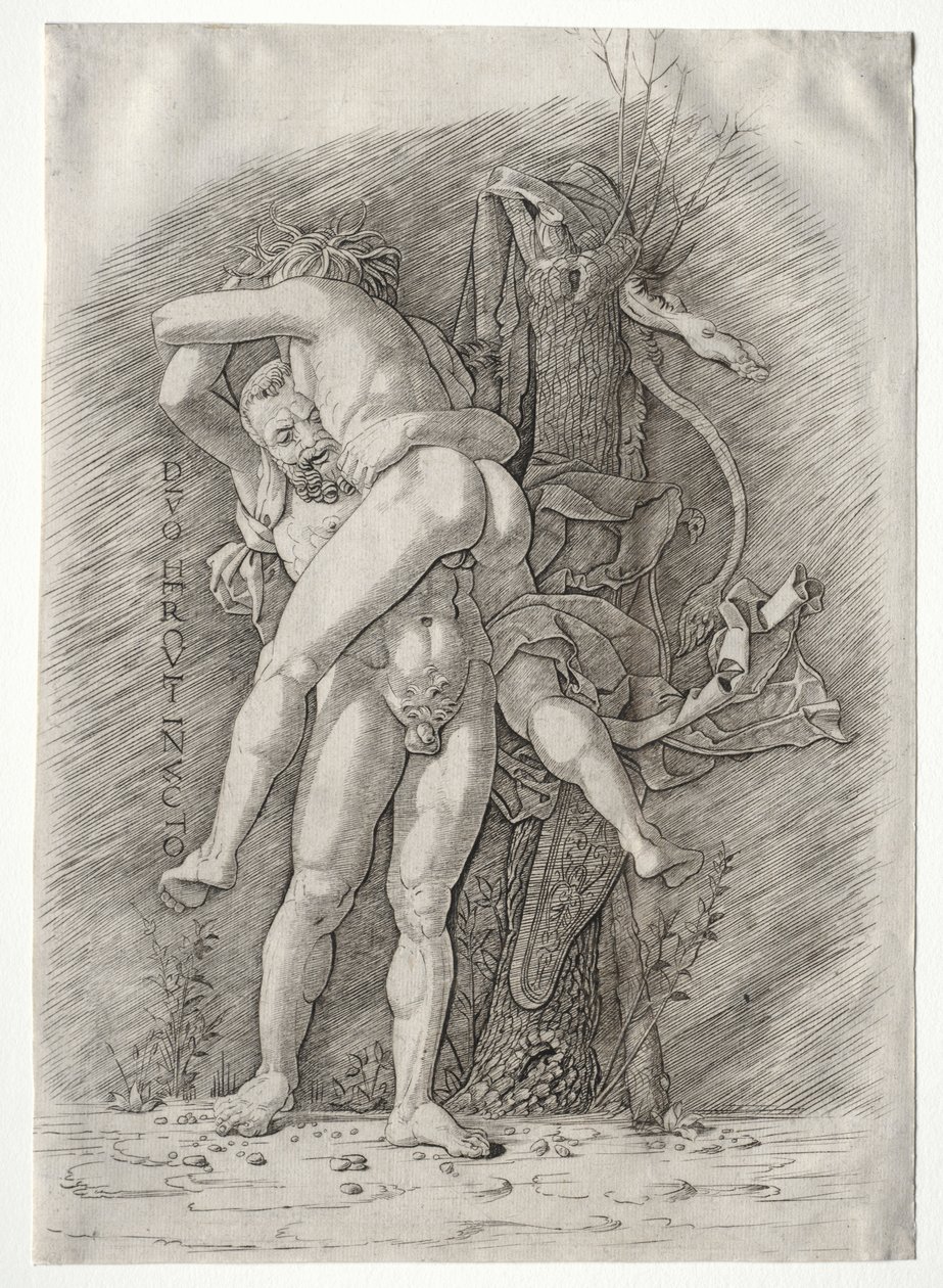 Herkül ve Antaeus, 1400'ler. by Andrea Mantegna