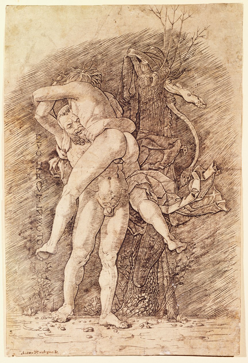 Herkül ve Antaeus, Andrea Mantegna (1431-1506), çizim. by Andrea Mantegna