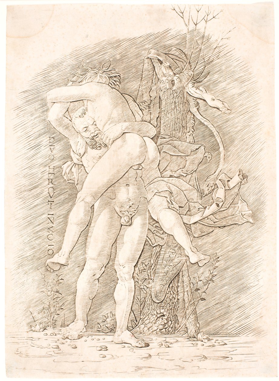 Herkül ve Antæus by Andrea Mantegna