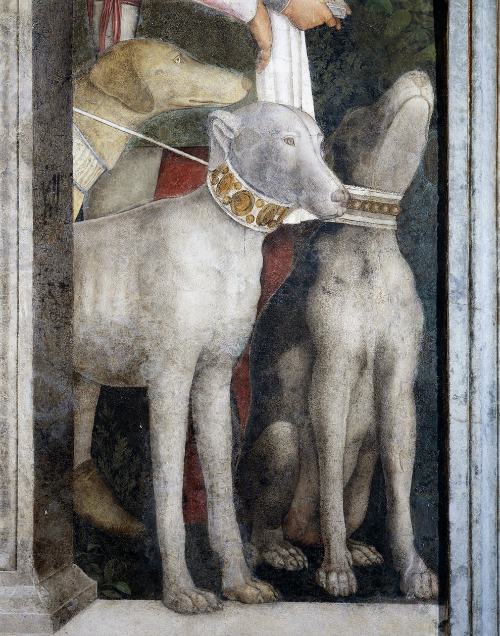 Molossian köpekleri, Toplantı Duvarından detay by Andrea Mantegna