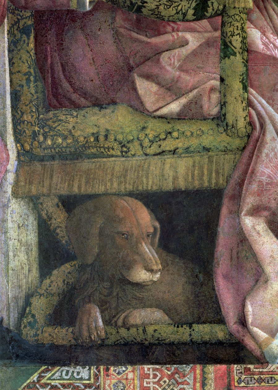 Mantualı Marchese Ludovico Gonzaga III ve ailesinin en sevdiği köpeği Rubino, Camera degli Sposi veya Camera Picta