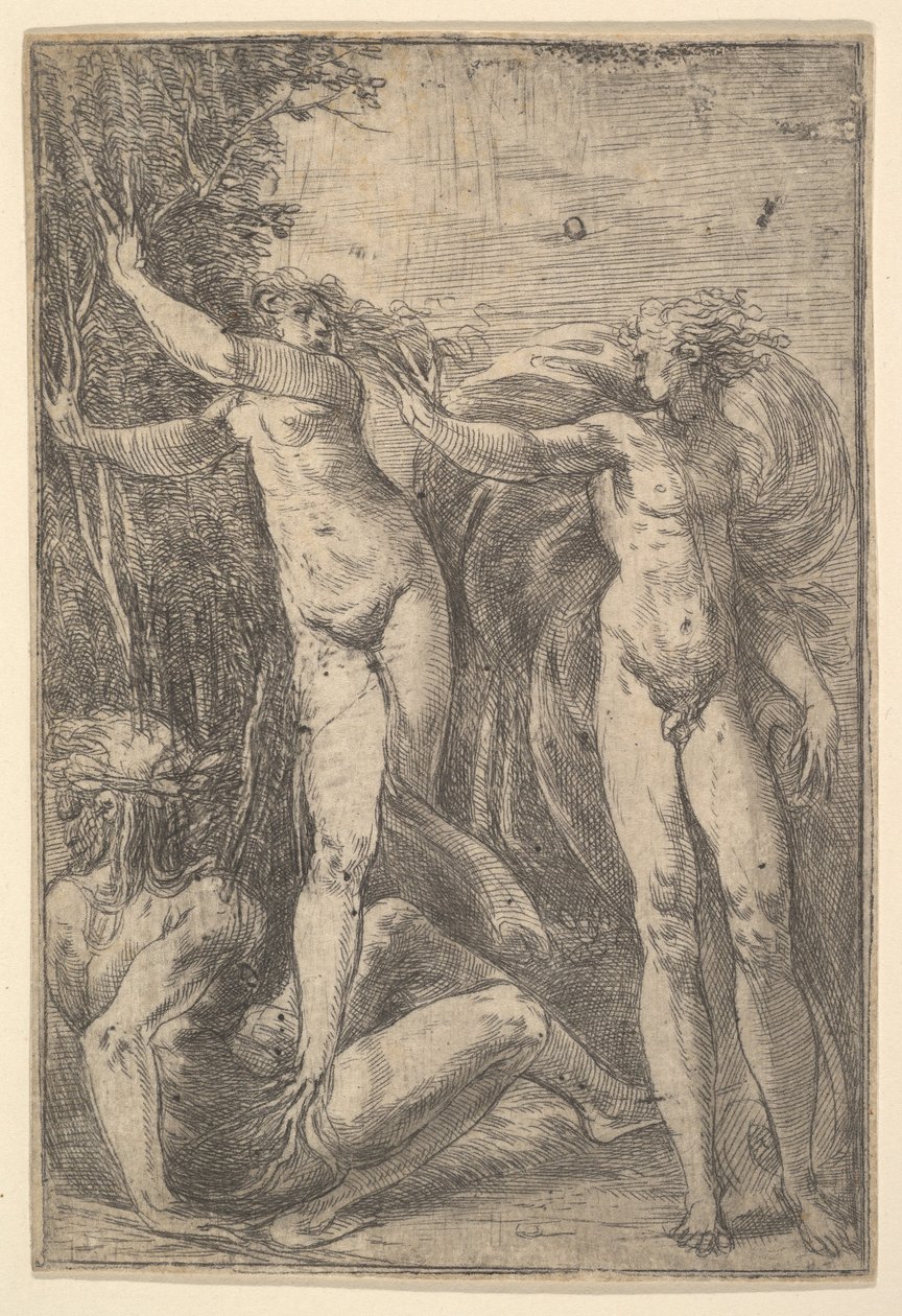 Apollo ve Daphne, yaklaşık. 1538-40. by Andrea Schiavone