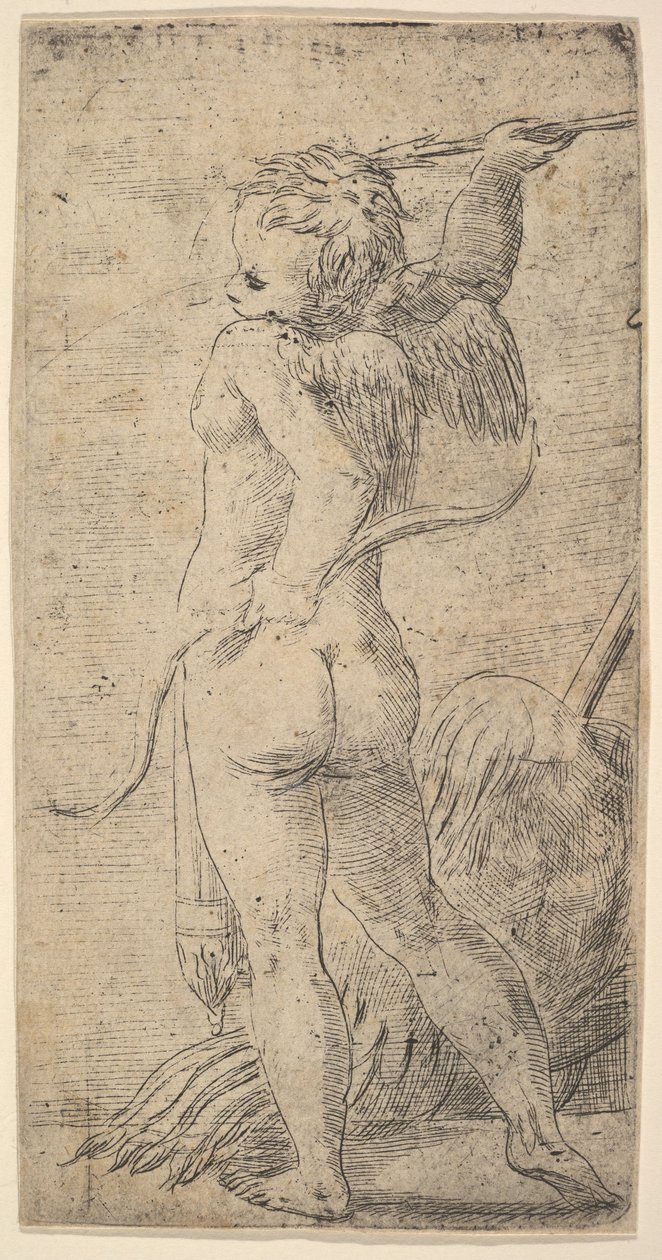 Cupid, kaldırdığı sağ elinde bir okla arkadan bakıldığında, yaklaşık. 1543-45. by Andrea Schiavone