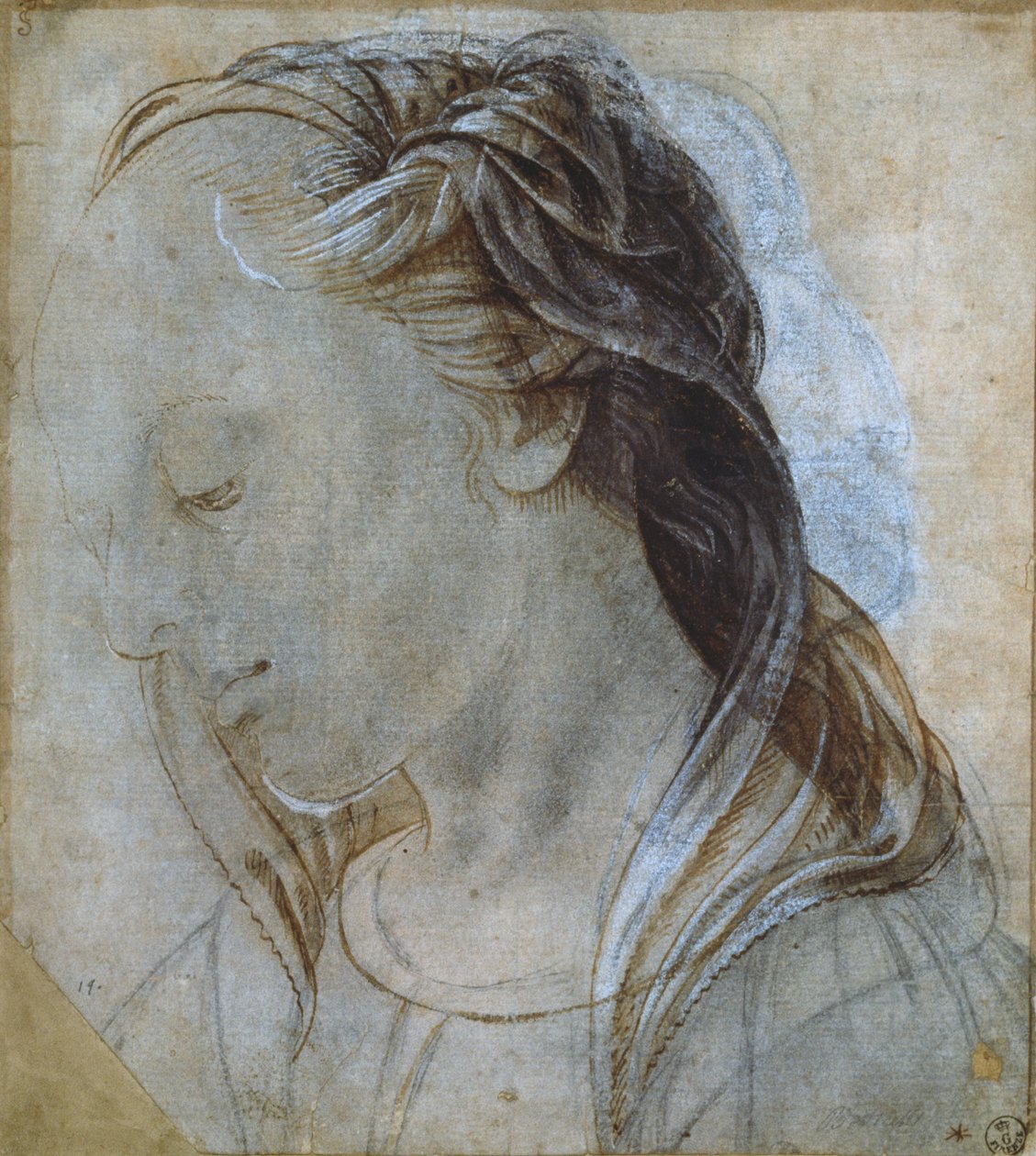 Kadın Kafası (çizim) by Andrea Verrocchio