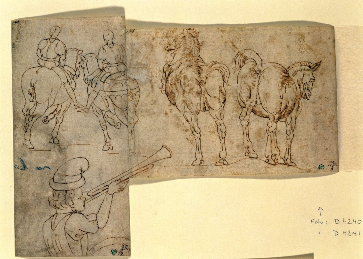 Env no.38 recto Sketch of Horses, c. 1460-70 (kalem ve mürekkep) by Andrea Verrocchio