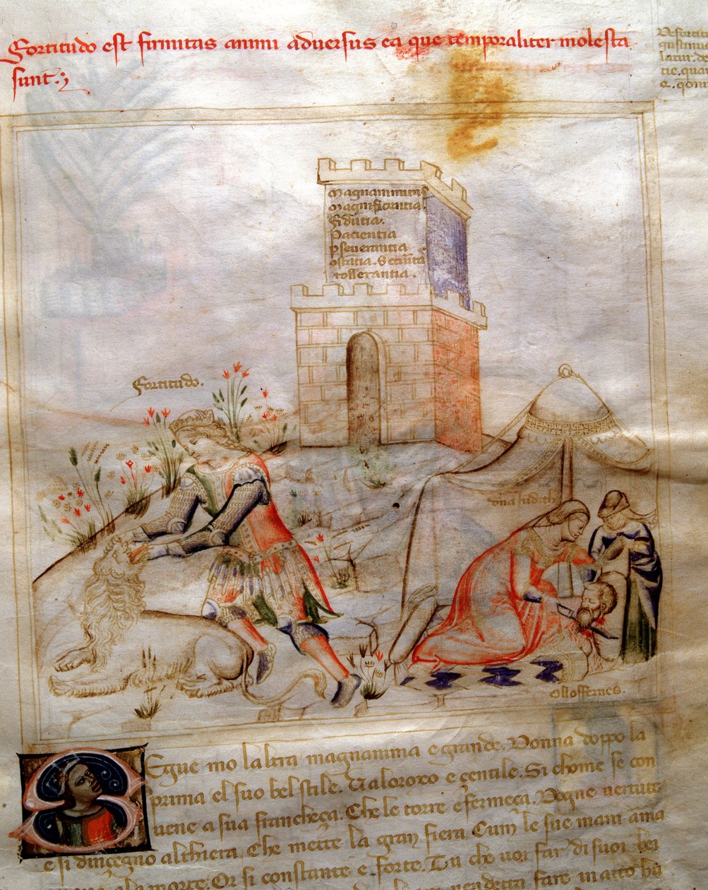 Bartolomeo di Baartoli
