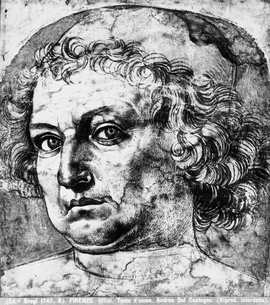 Adamın başı veya Andrea del Verrocchio
