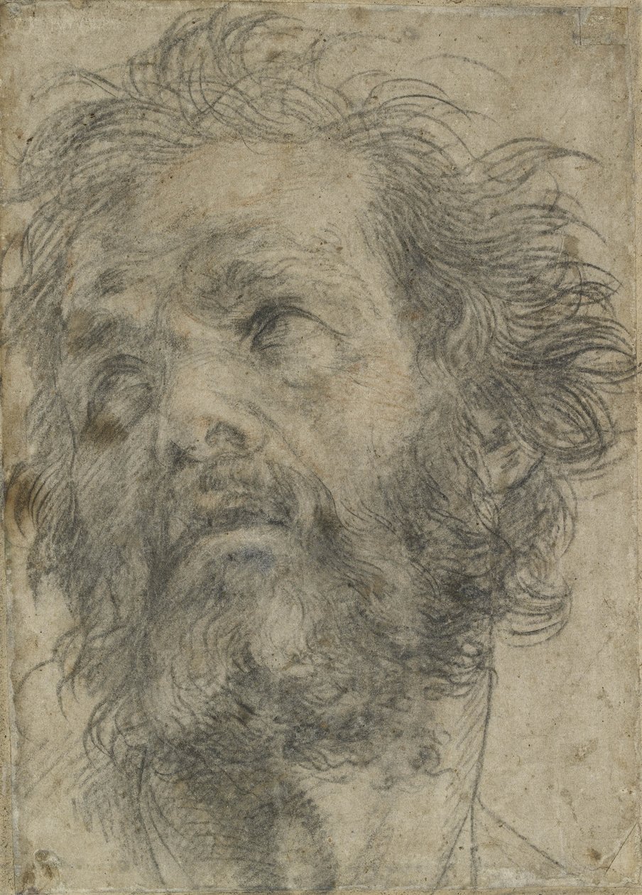 Bir Adamın Başı, (kağıt üzerine siyah tebeşir) by Andrea del Sarto