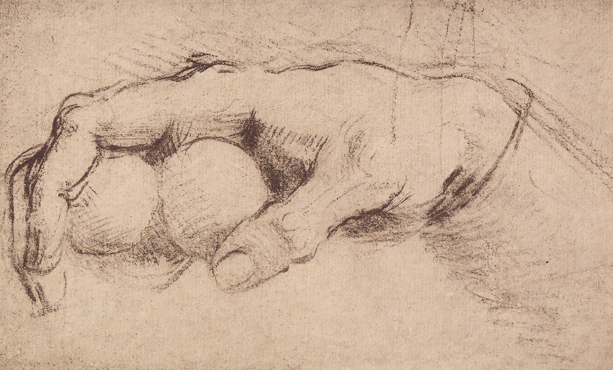 Bir el; resim çizme by Andrea del Sarto
